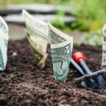 Tips and tricks on how to grow money in 2021 and 2022 brought to you by Make Manage Grow Money
